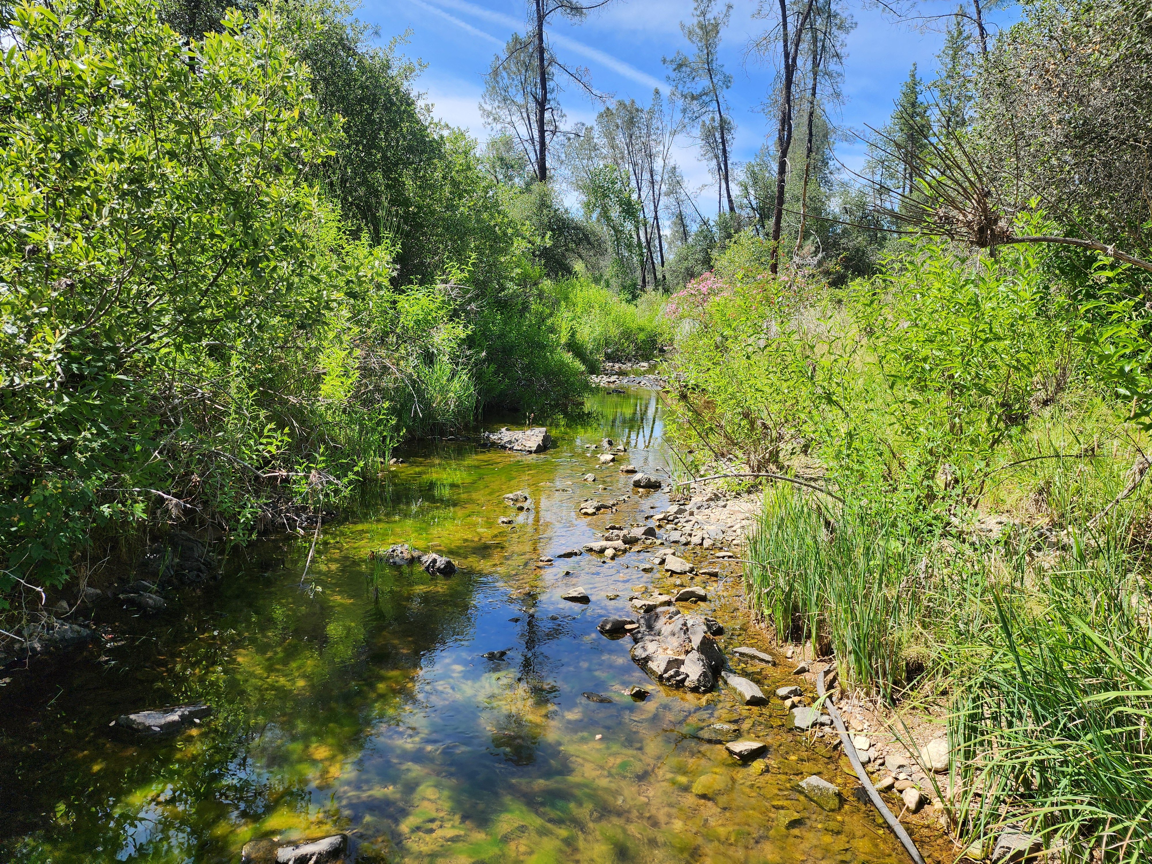 Churn Creek Placer thumbnail 2