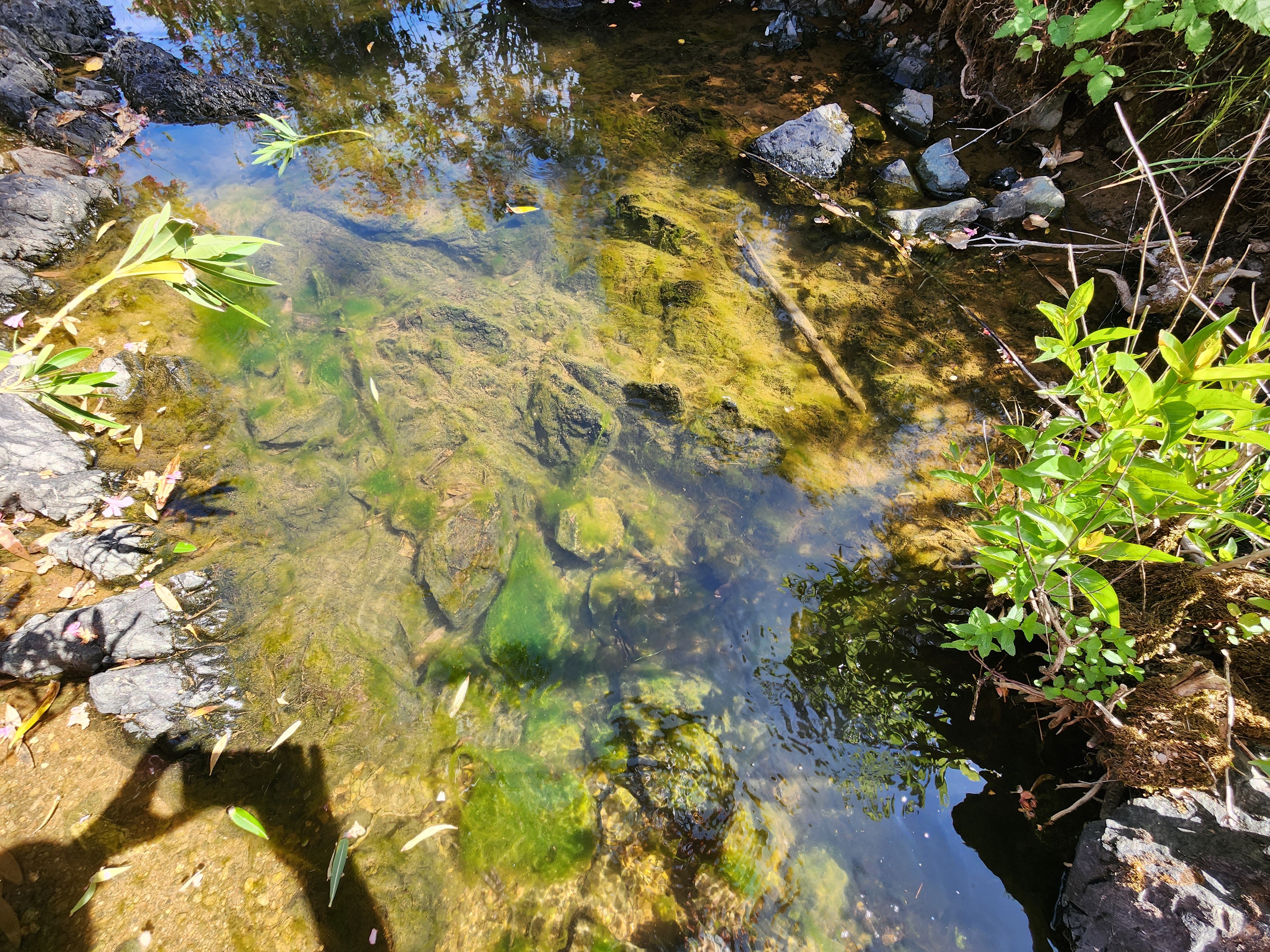 Churn Creek Placer thumbnail 3