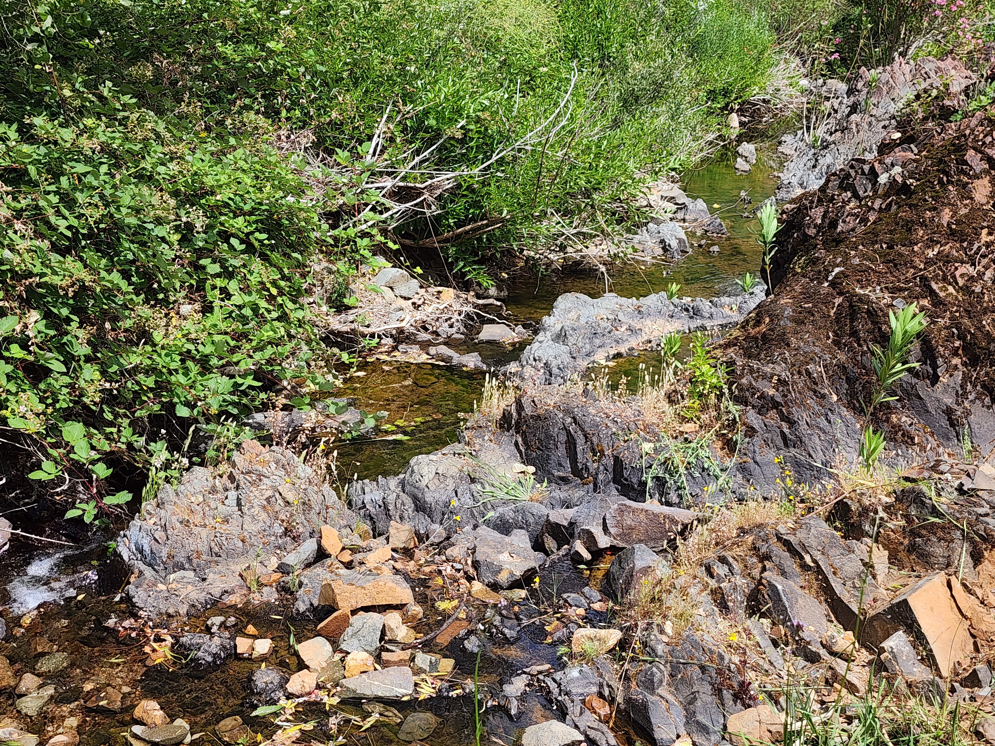Churn Creek Placer thumbnail 5