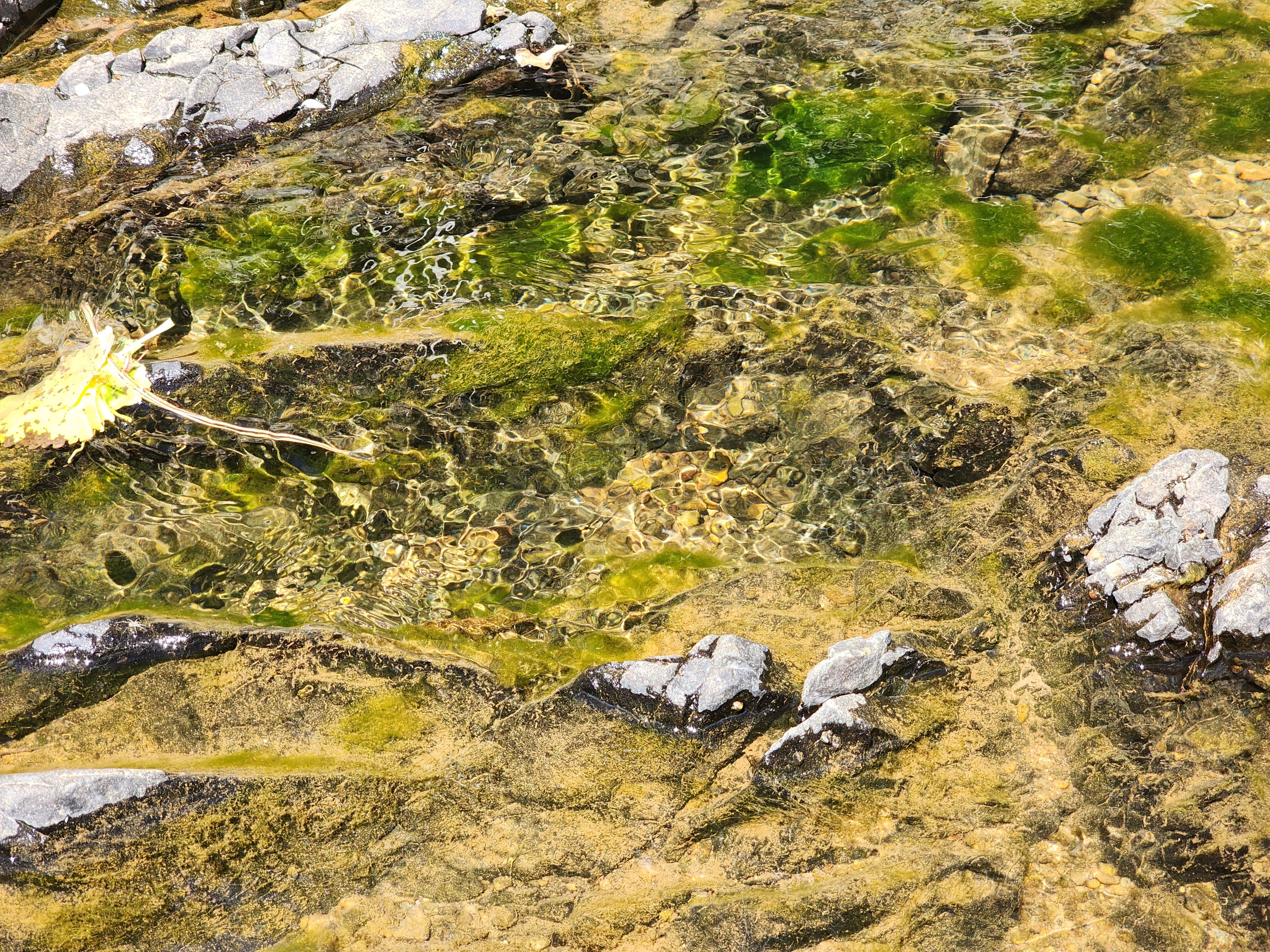 Churn Creek Placer thumbnail 7