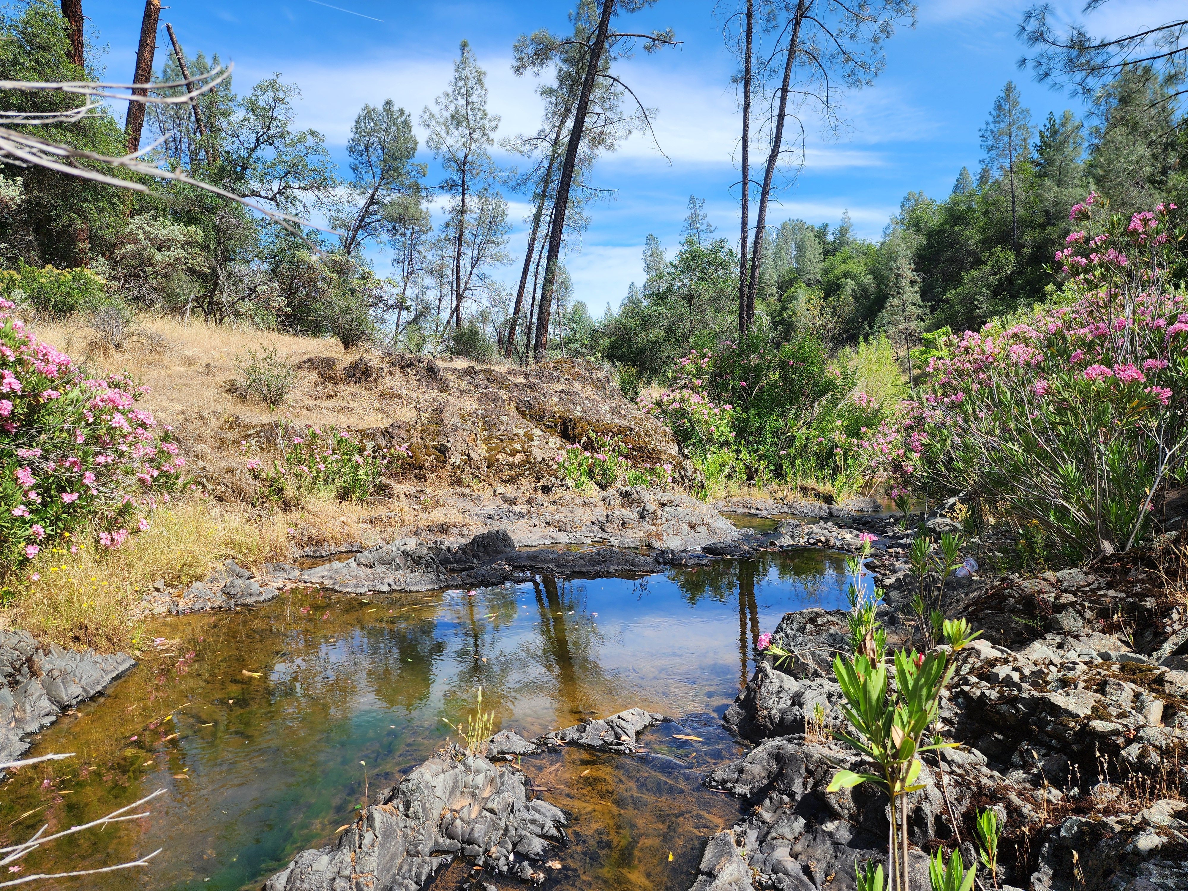 Churn Creek Placer