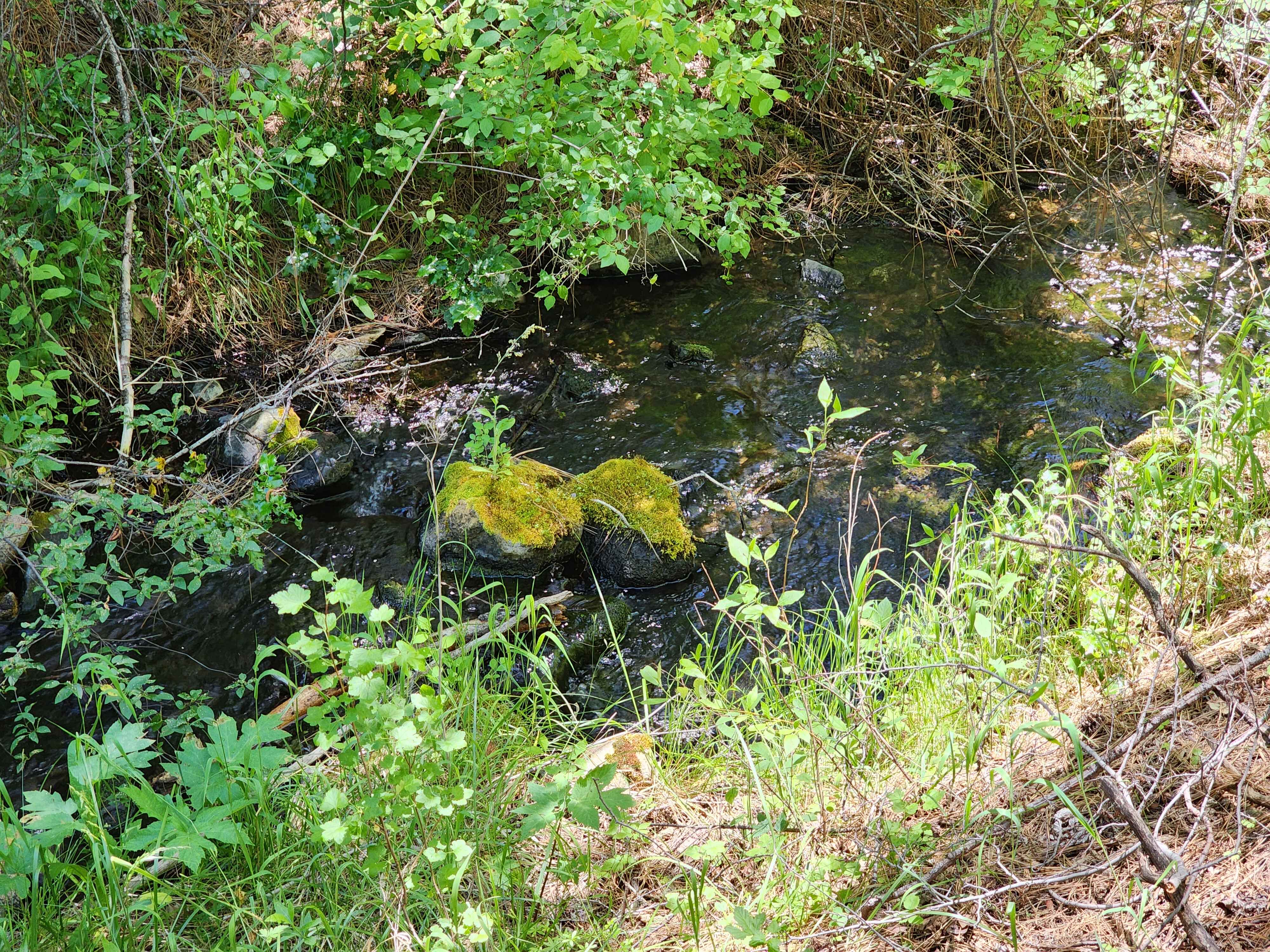 Kangaroo Creek — Placer gold mining claim for sale in Siskiyou, CA