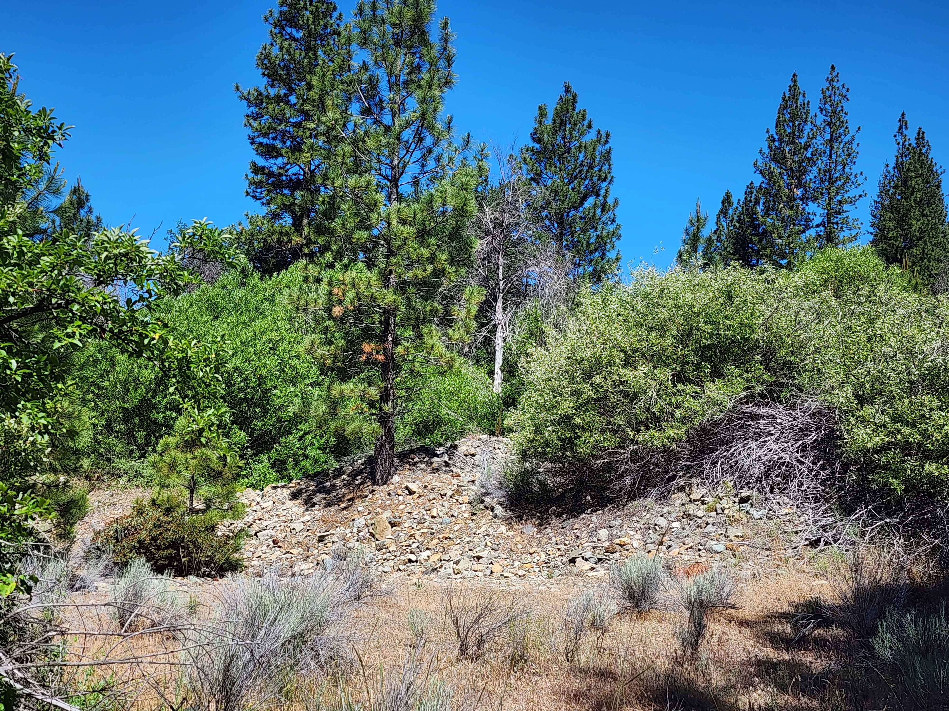 Kangaroo Creek — Placer gold mining claim for sale in Siskiyou, CA thumbnail 2