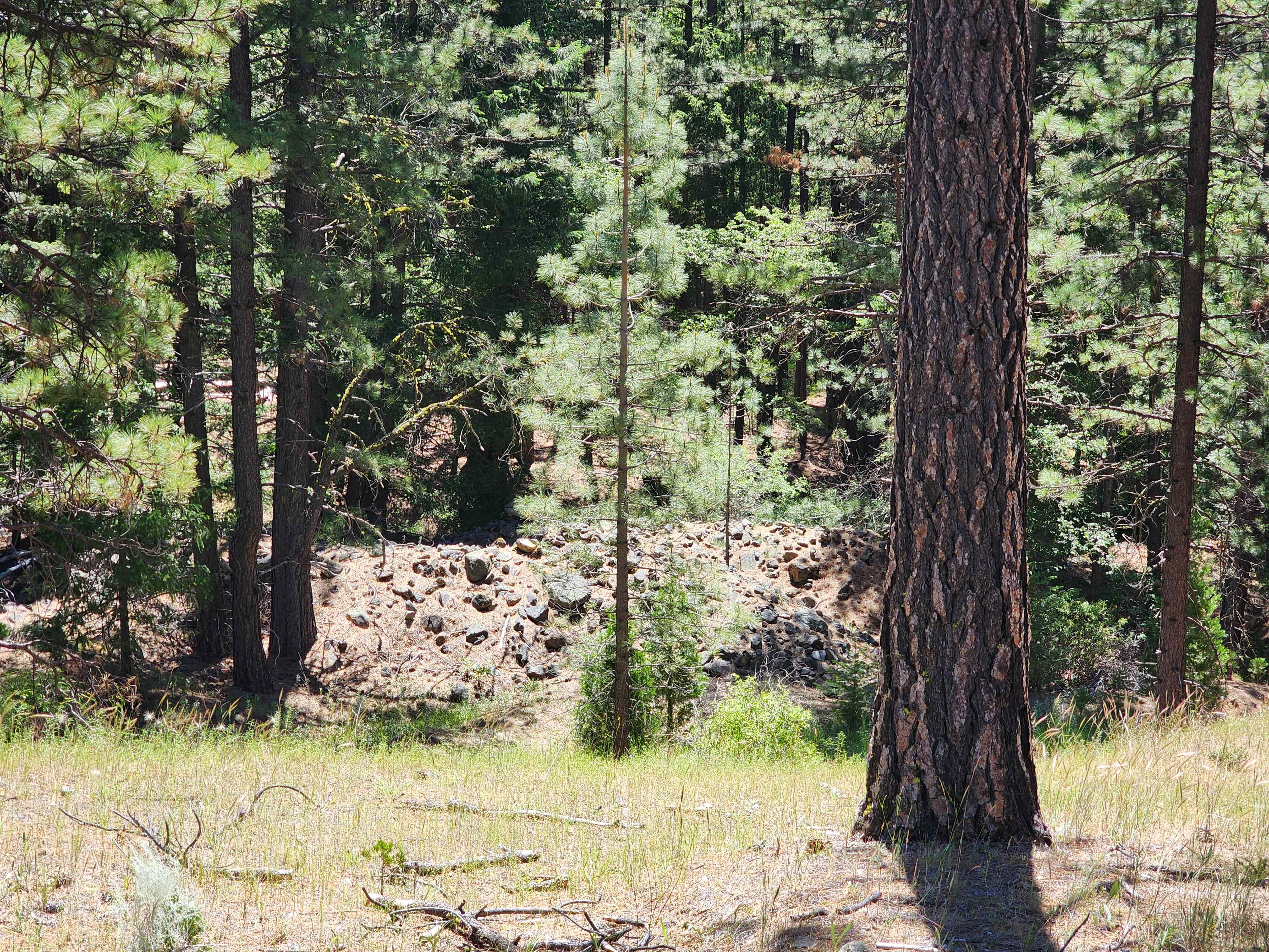 Kangaroo Creek — Placer gold mining claim for sale in Siskiyou, CA thumbnail 3