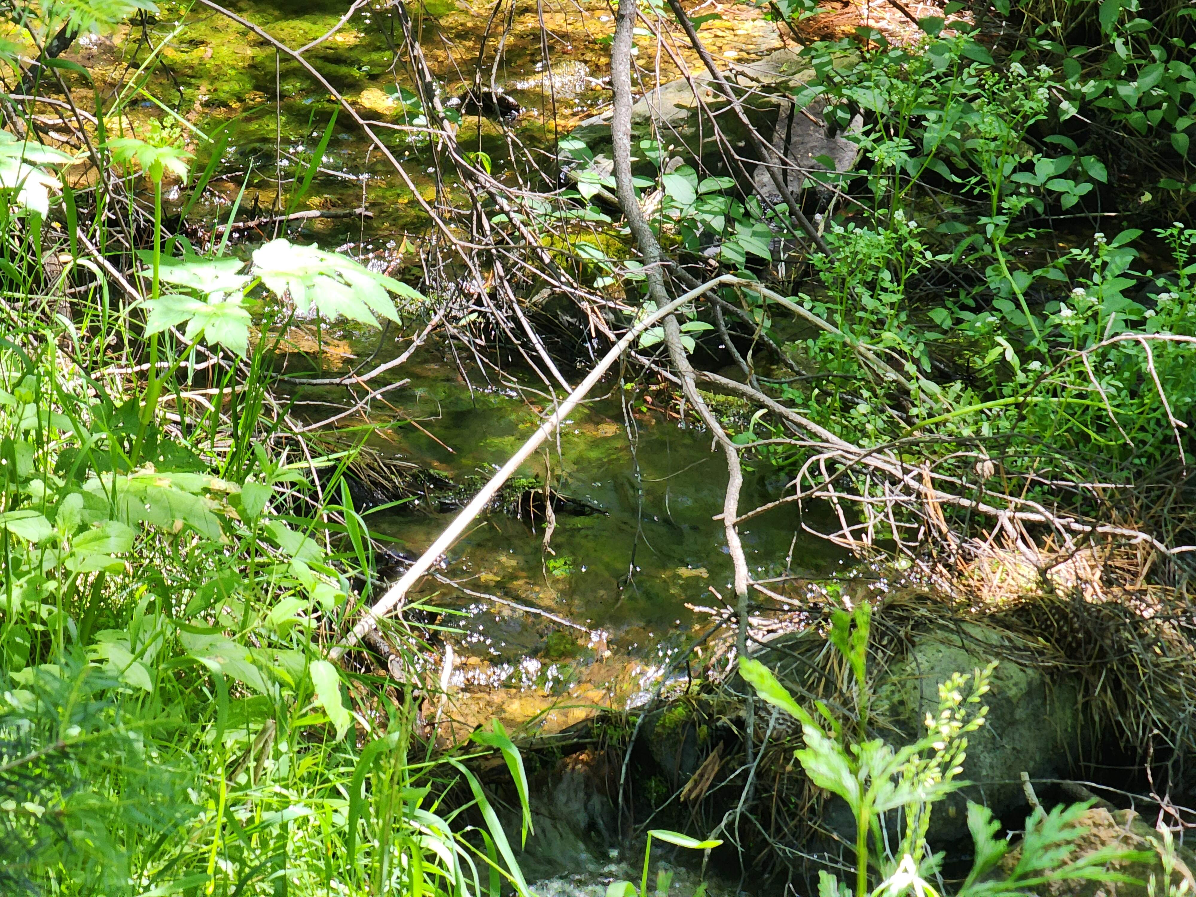 Kangaroo Creek — Placer gold mining claim for sale in Siskiyou, CA thumbnail 4