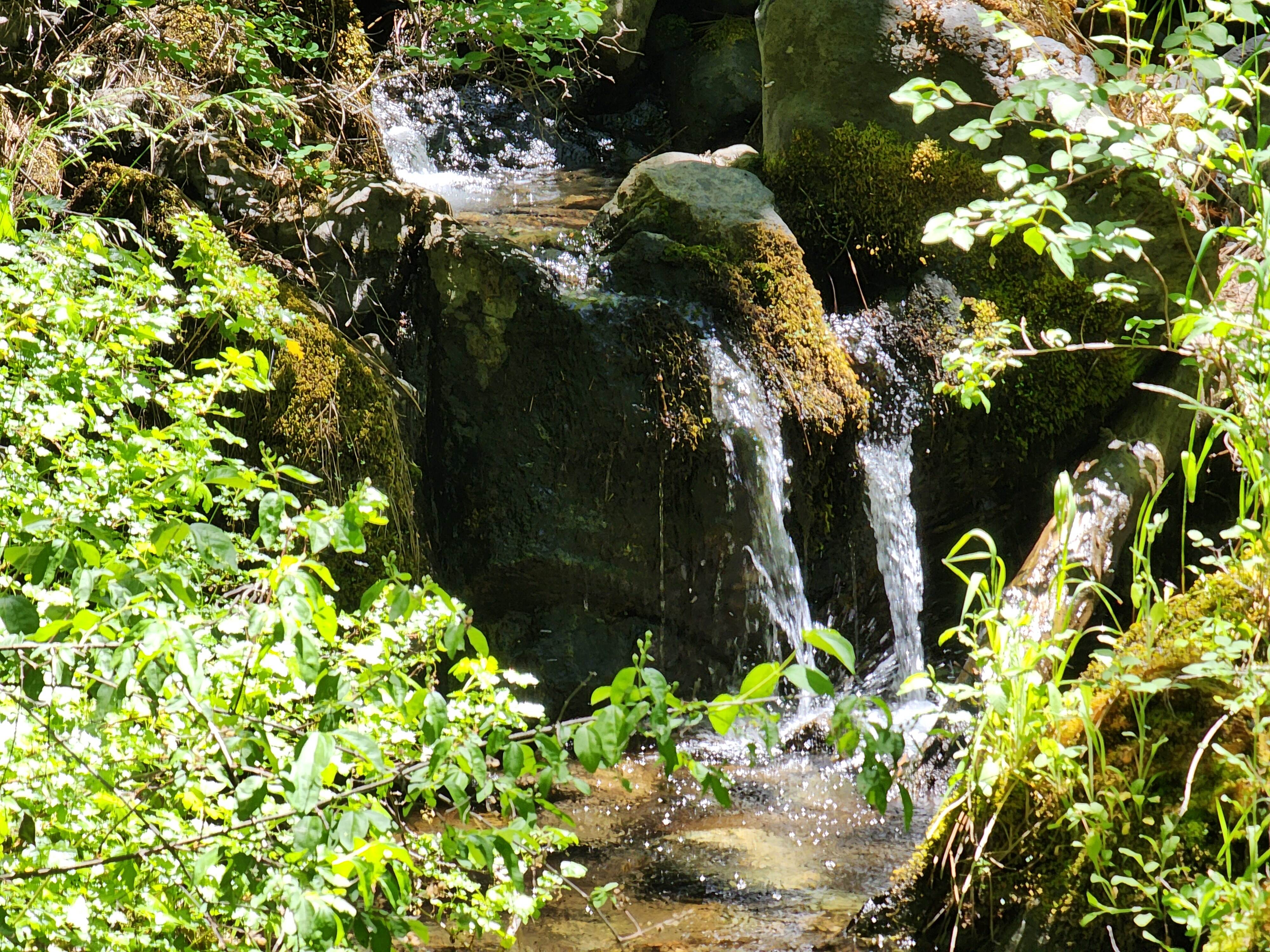 Kangaroo Creek — Placer gold mining claim for sale in Siskiyou, CA thumbnail 10