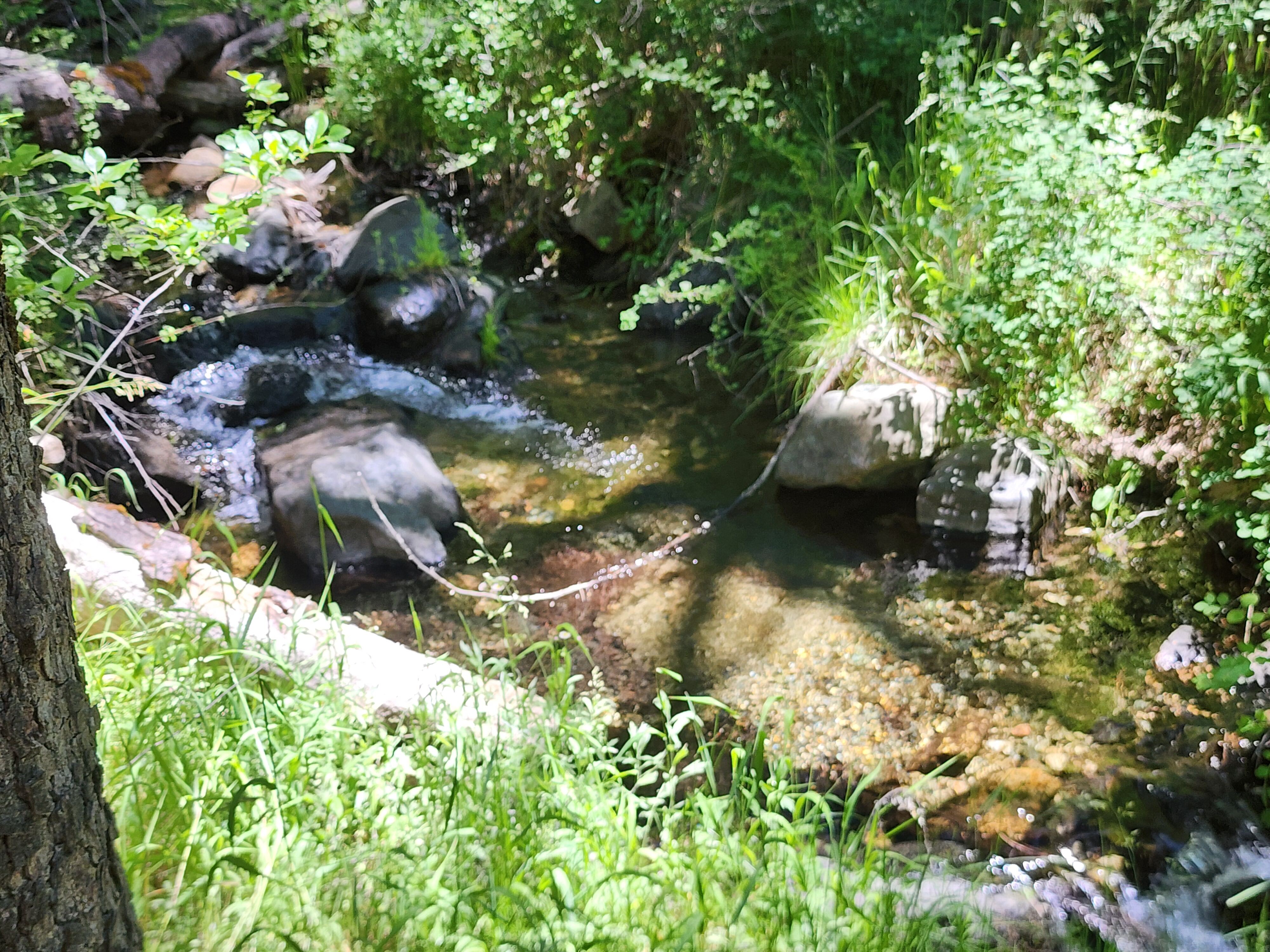 Kangaroo Creek — Placer gold mining claim for sale in Siskiyou, CA thumbnail 11