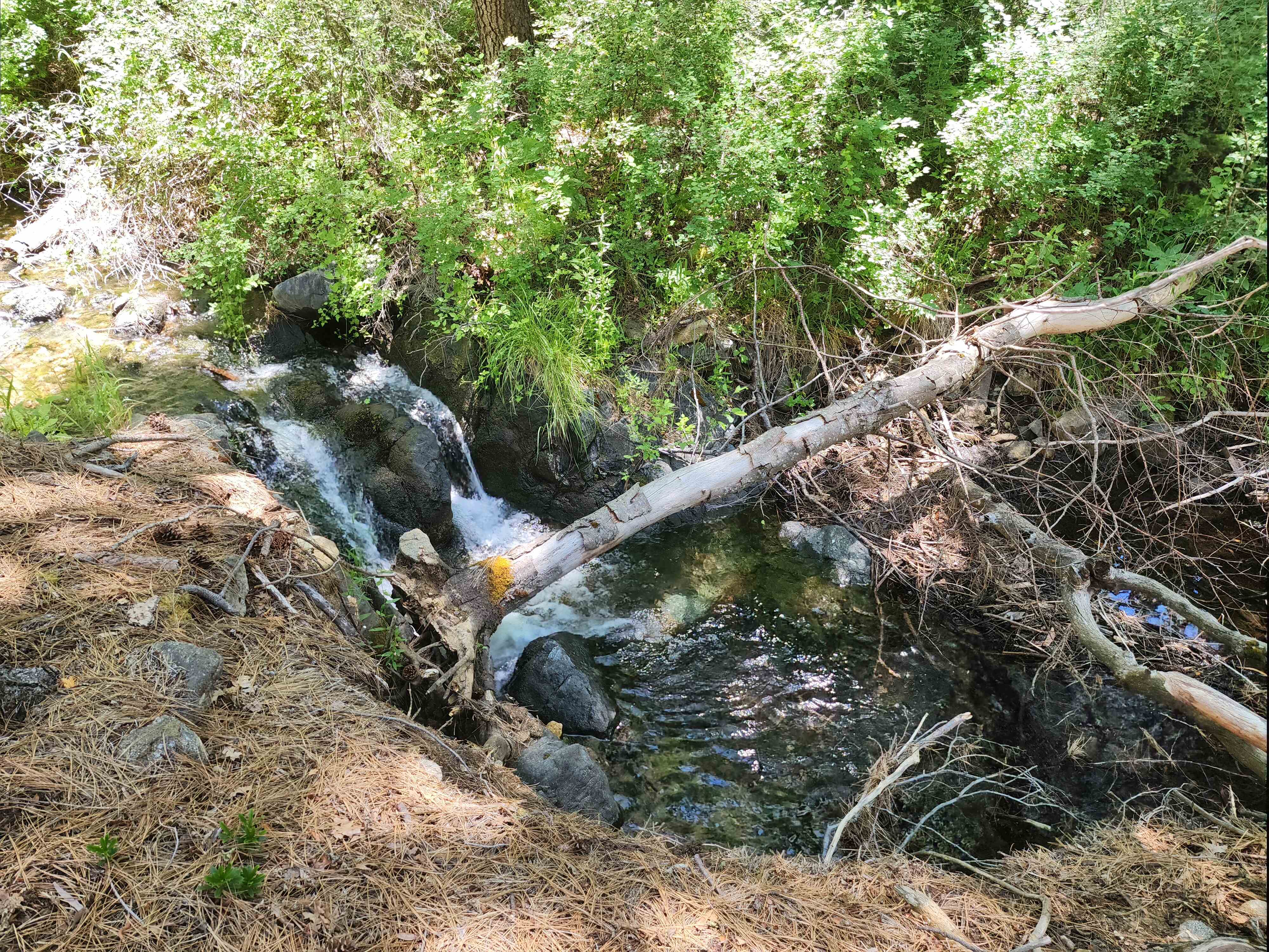 Kangaroo Creek — Placer gold mining claim for sale in Siskiyou, CA thumbnail 13