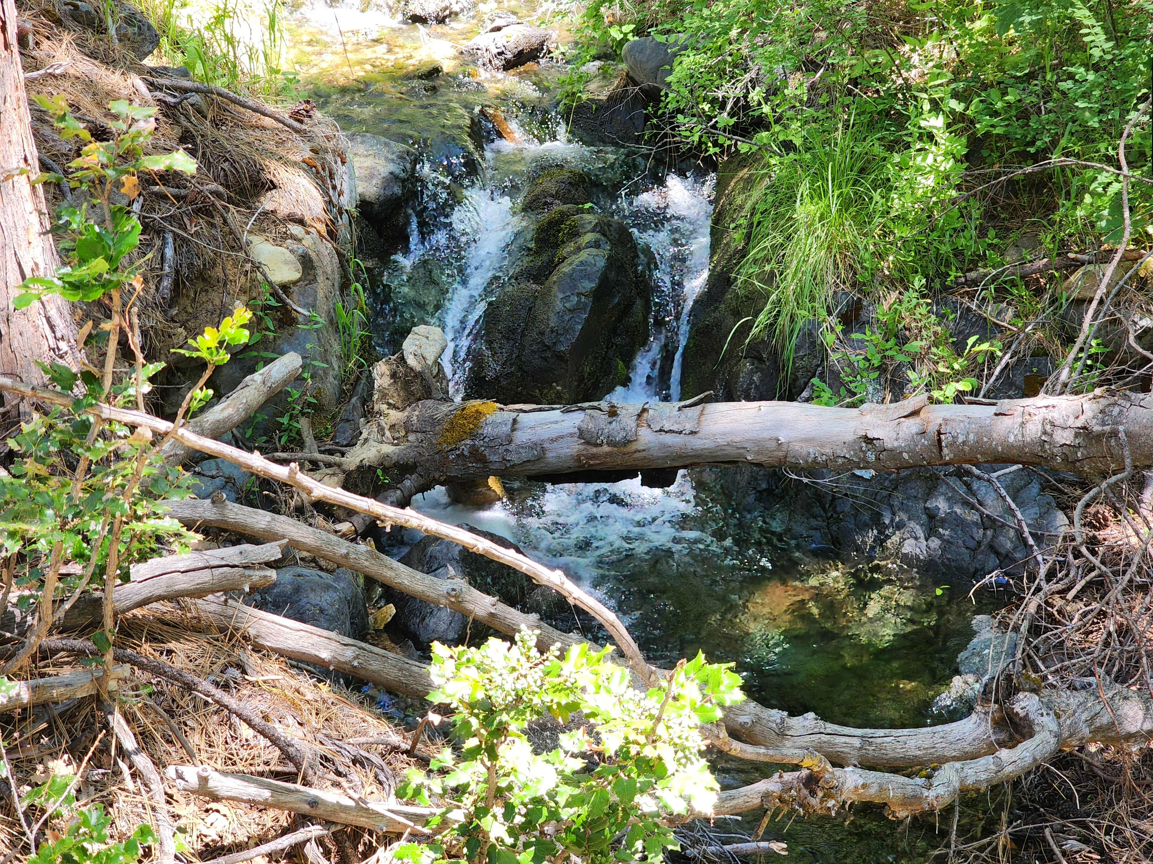 Kangaroo Creek — Placer gold mining claim for sale in Siskiyou, CA thumbnail 16