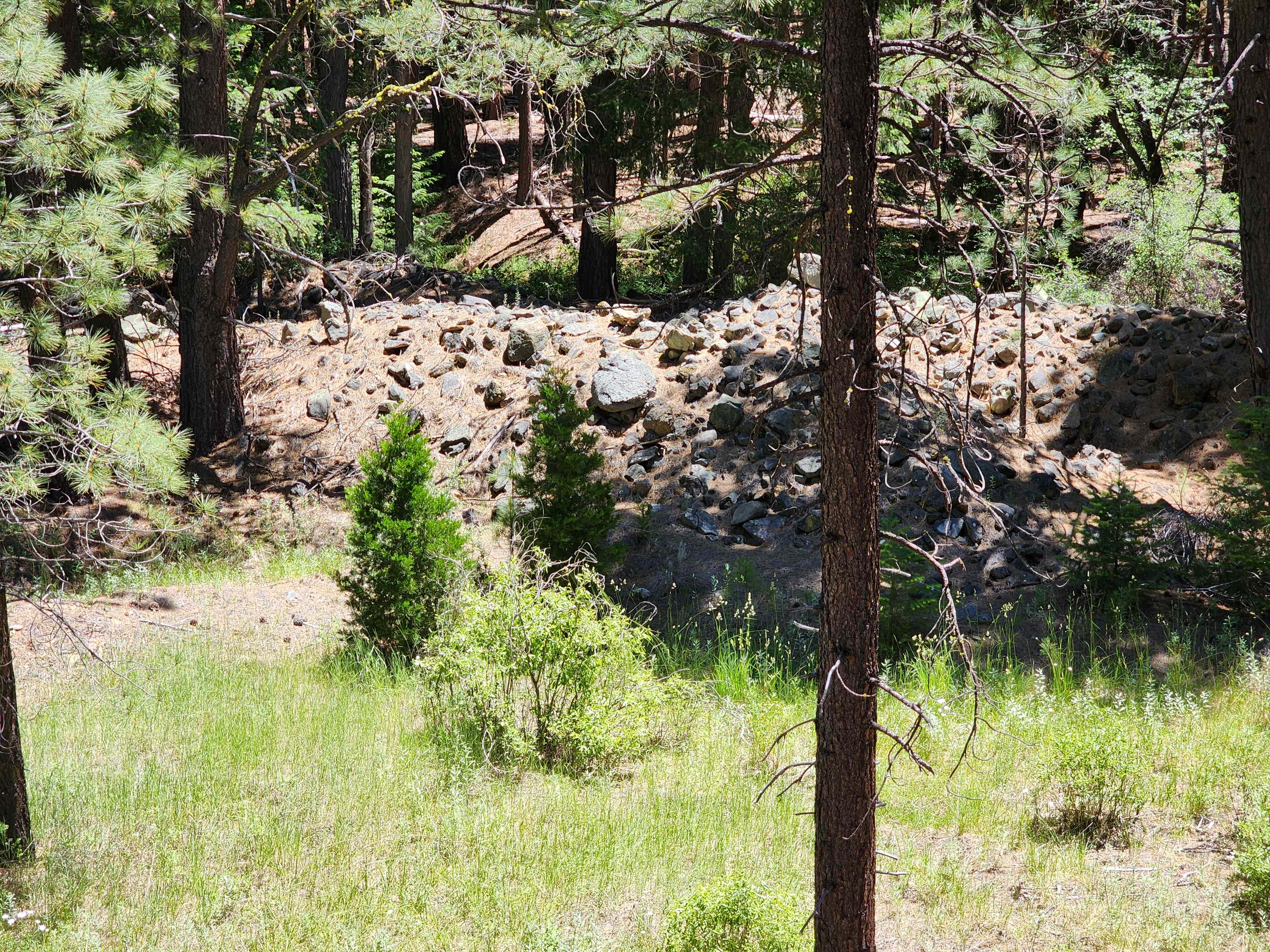 Kangaroo Creek — Placer gold mining claim for sale in Siskiyou, CA thumbnail 17