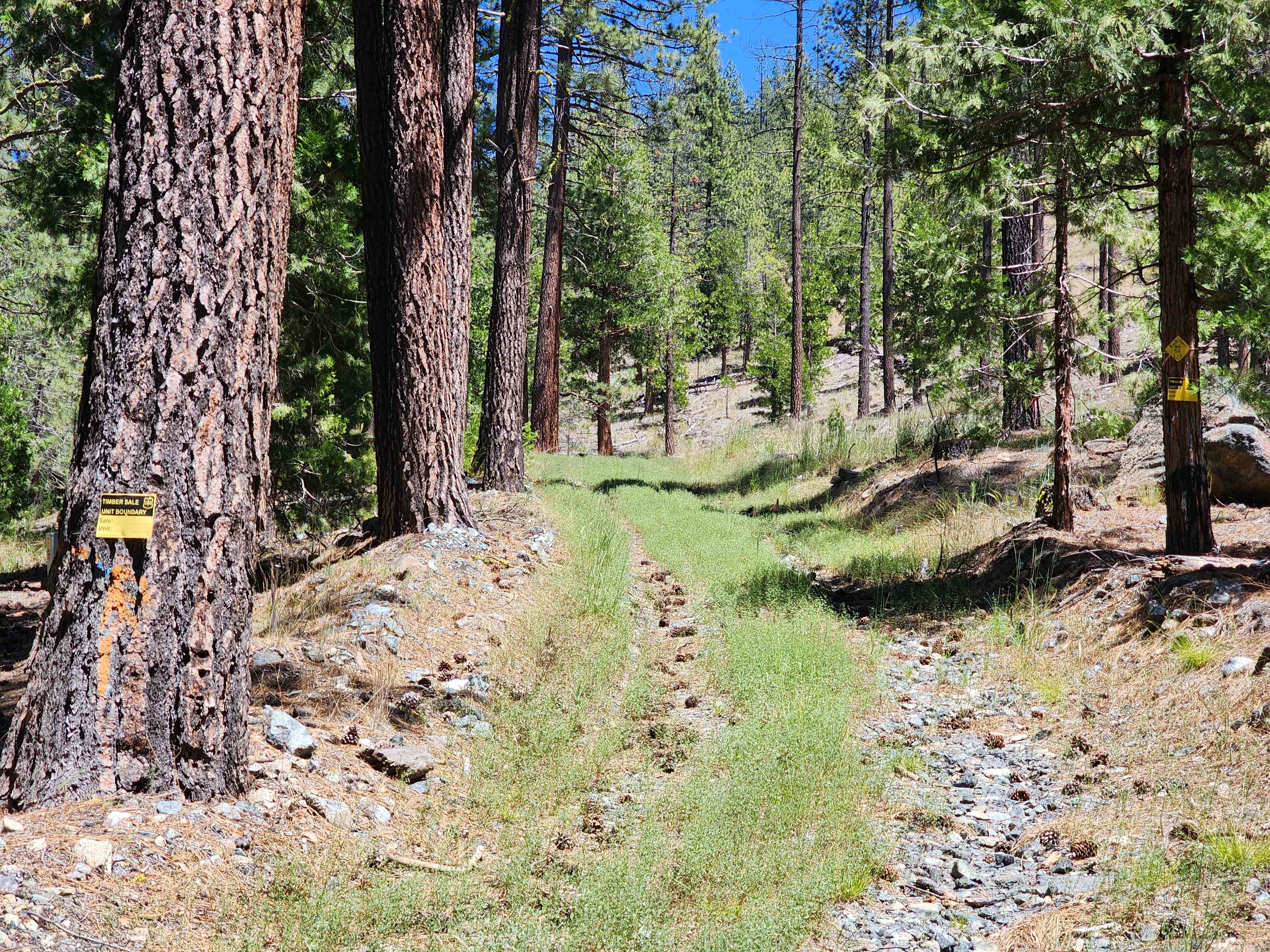 Kangaroo Creek — Placer gold mining claim for sale in Siskiyou, CA thumbnail 19