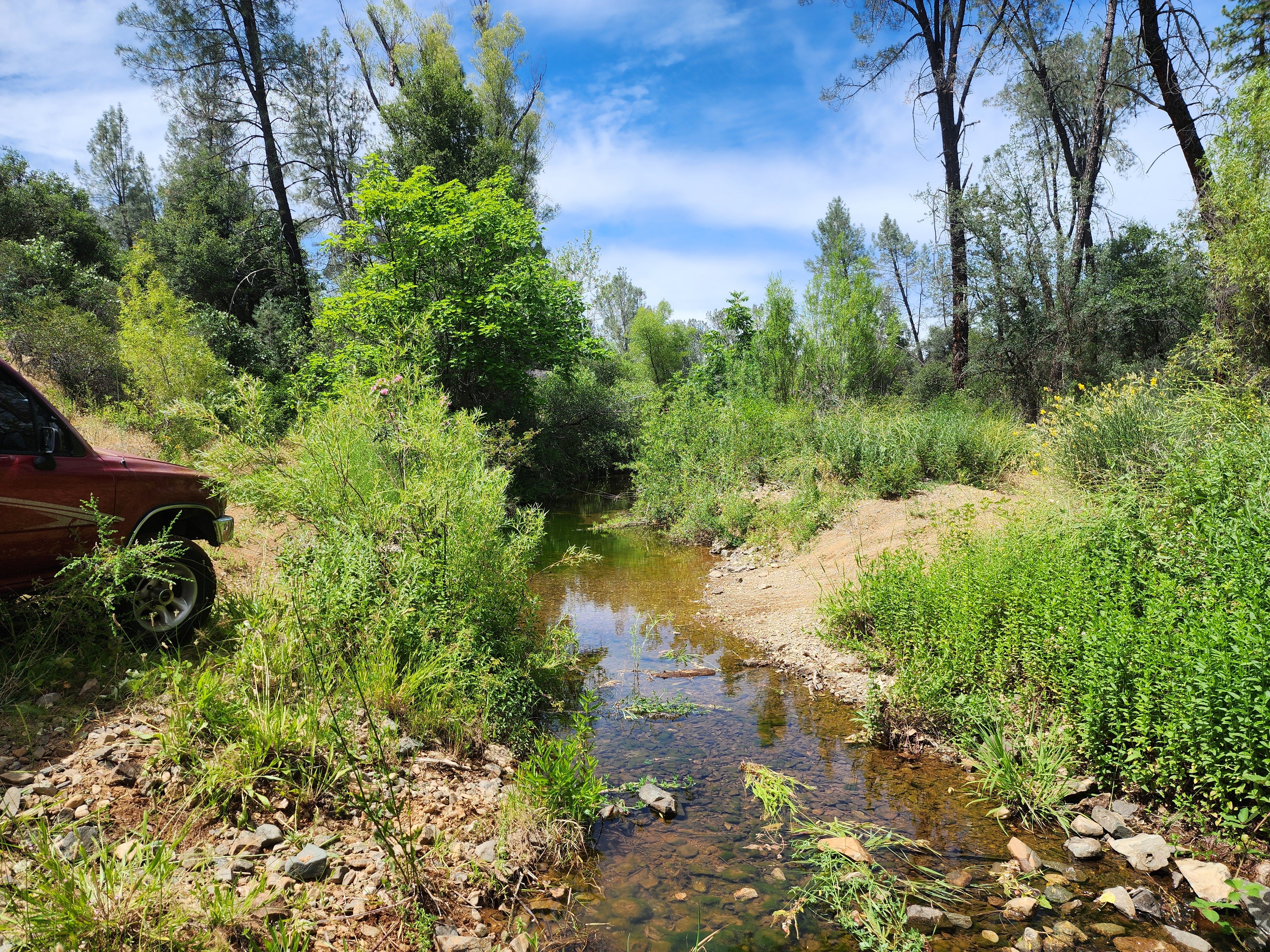 Churn Creek Placer