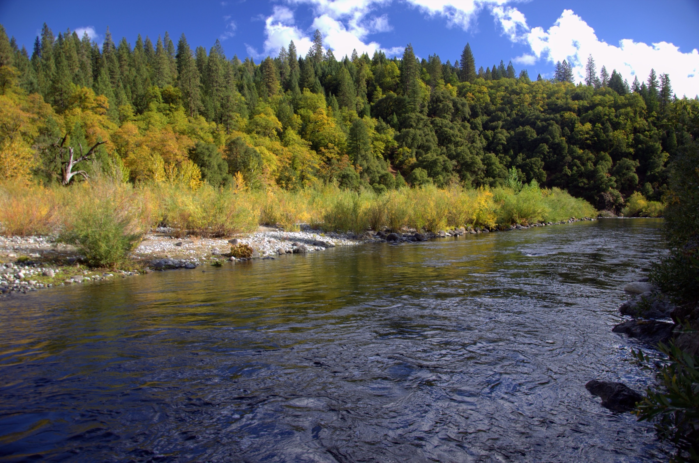 River running through Northern California gold country in autumn